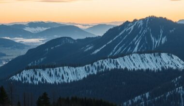 Kinoloot | Друзья: секрет популярности Kinoloot | Друзья: секрет популярности